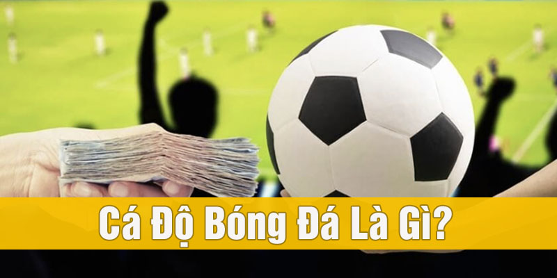 Tìm hiểu Kinh Nghiệm Cá Độ Bóng Đá bất bại